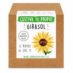 Kit de Cultivo Girasol