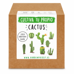 Kit de Cultivo Cactus