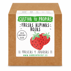 Kit de Cultivo Fresas Rojas