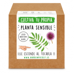 Kit de Cultivo Planta Sensible