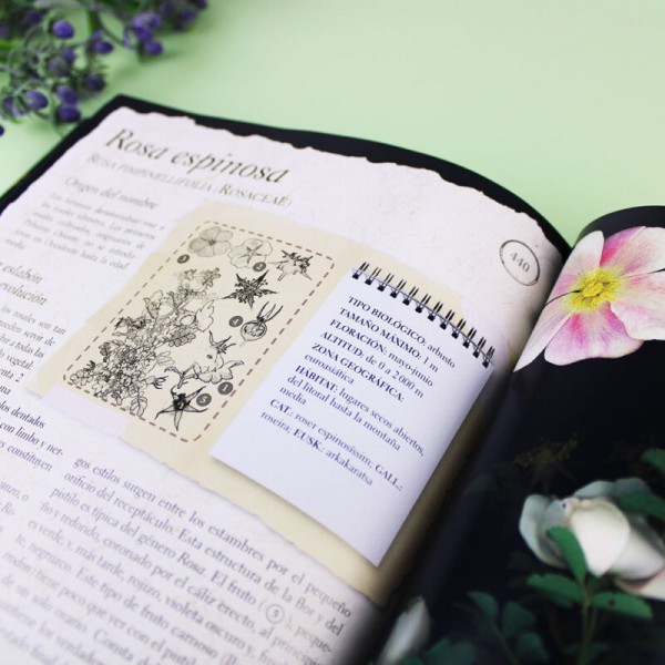 Libro Herbario de Plantas Silvestres【 Regalos Originales 】