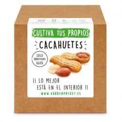 Kit de Cultivo Cacahuetes