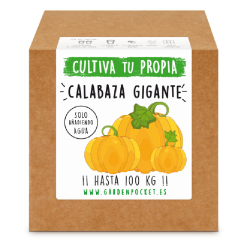 Kit de Cultivo Calabaza...